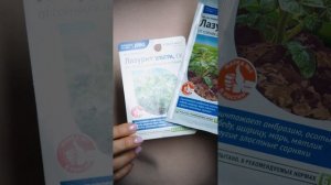 2 варианта защиты картофеля от сорняков. Умная прополка