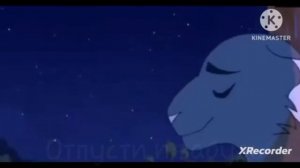 Коты воители Горелый клип песня (Белая Ночь) ✨