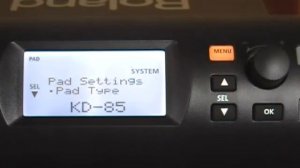 Roland TD 4 Settings for Pintech