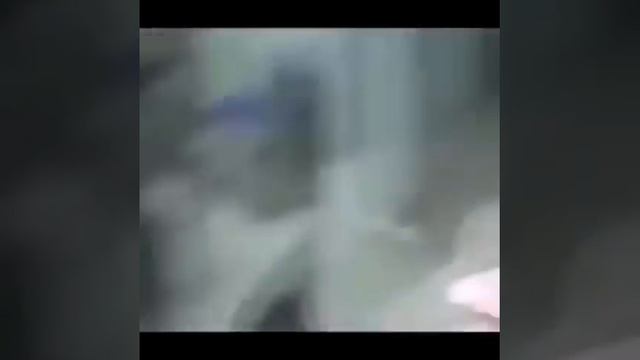 Смешные животные) смотреть онлайн