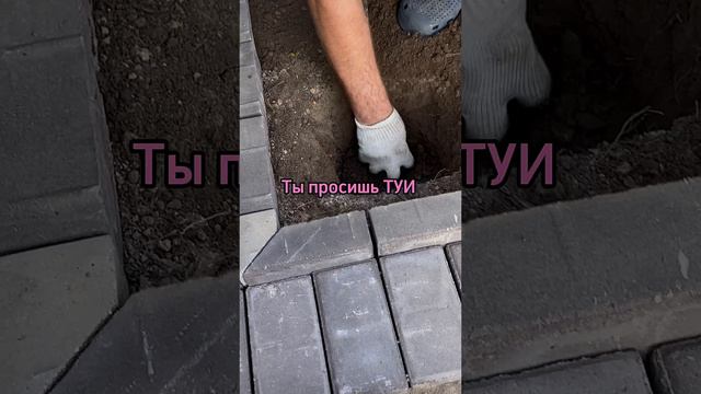 Что подарить? #short
