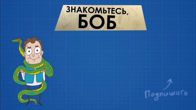 боб съел. знакомьтесь боб боб съел 10 кг шоколада. знакомьтесь боб боб съел 10 кг шоколада. съел 10 кг шоколада. боб ест острое.