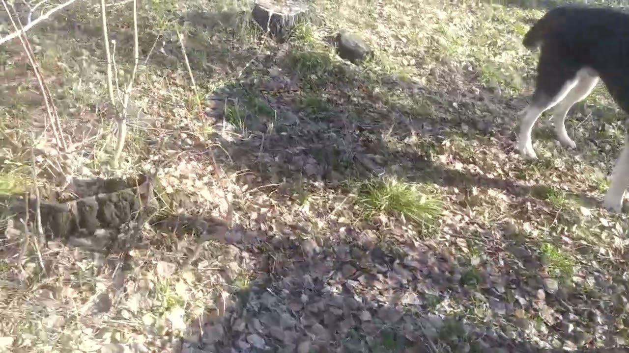 7 мая 2024 г. смотреть онлайн