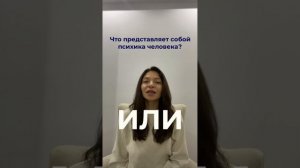 Что из себя представляет психика человека?