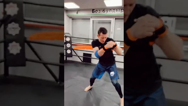 Тренажёр Sport Wings полный комплект (работа рук и торса)