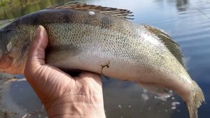 РЫБАЛКА В КЛЕПИКОВО 2019