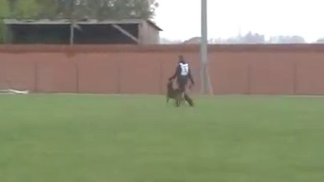 MOV00a смотреть онлайн