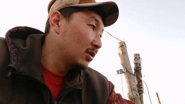 Куры перестали нести яйца / от чего ушли к тому и пришли ⛲ смотреть онлайн