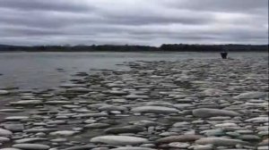 верховье- китоя(красивые места)