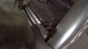 Подготовка и покраска в гараже без опыта. Цвет кварц на ВАЗ 2115. МАРАФЕТ