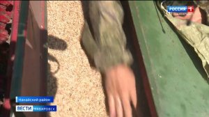 «Столовую» для лесных обитателей откроют в Анюйском национальном парке