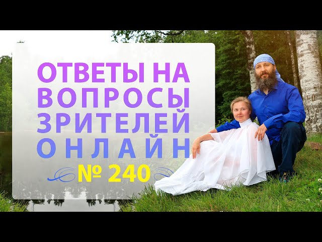 Онлайн Встреча №240