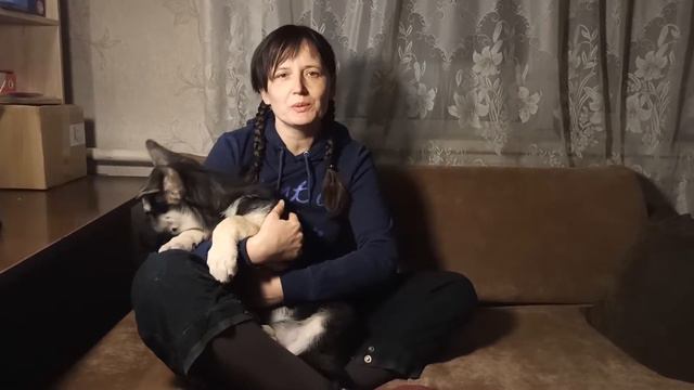 Щенок ВЕО. Зевка 80 дней от рождения. Задиванный воин. смотреть онлайн