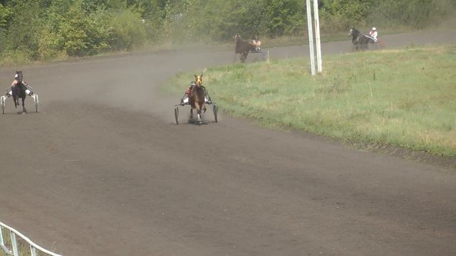 21.08.2021 г. 5-й заезд Приз Алтайского к/з смотреть онлайн