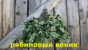 Какой банный веник выбрать для парилки