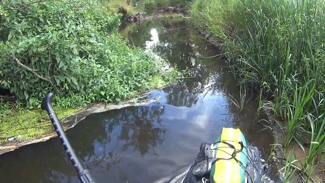 Река Лесная. от Каменюки до Теребунь на сапборде. ч.1 смотреть онлайн