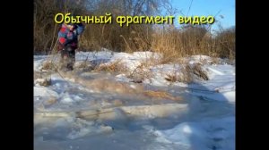 КАК ВЗРЫВАЕТСЯ КАМЫШ