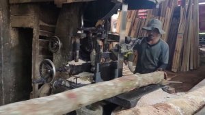 Harga 2milyar kayu manglid terpanjang didunia dibeli warga prancis digergaji sawmill