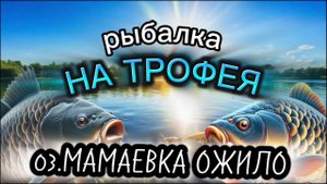 Рыбалка на трофея. Оз.Мамаевка ожило!