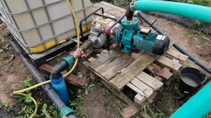 насос для полива клубники