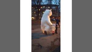 Мишка поздравляет в Мариуполе