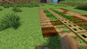 ГАЙД КАК САЖАТЬ ПШЕНИЦУ В МАЙНКРАФТЕ GUIDE HOW TO PLANT WHEAT IN MINECRAFT 指导如何在MINECRAFT中种植小麦