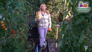 ЧЕМ ЗАПРАВИТЬ ГРЯДКИ ПОД ТОМАТЫ