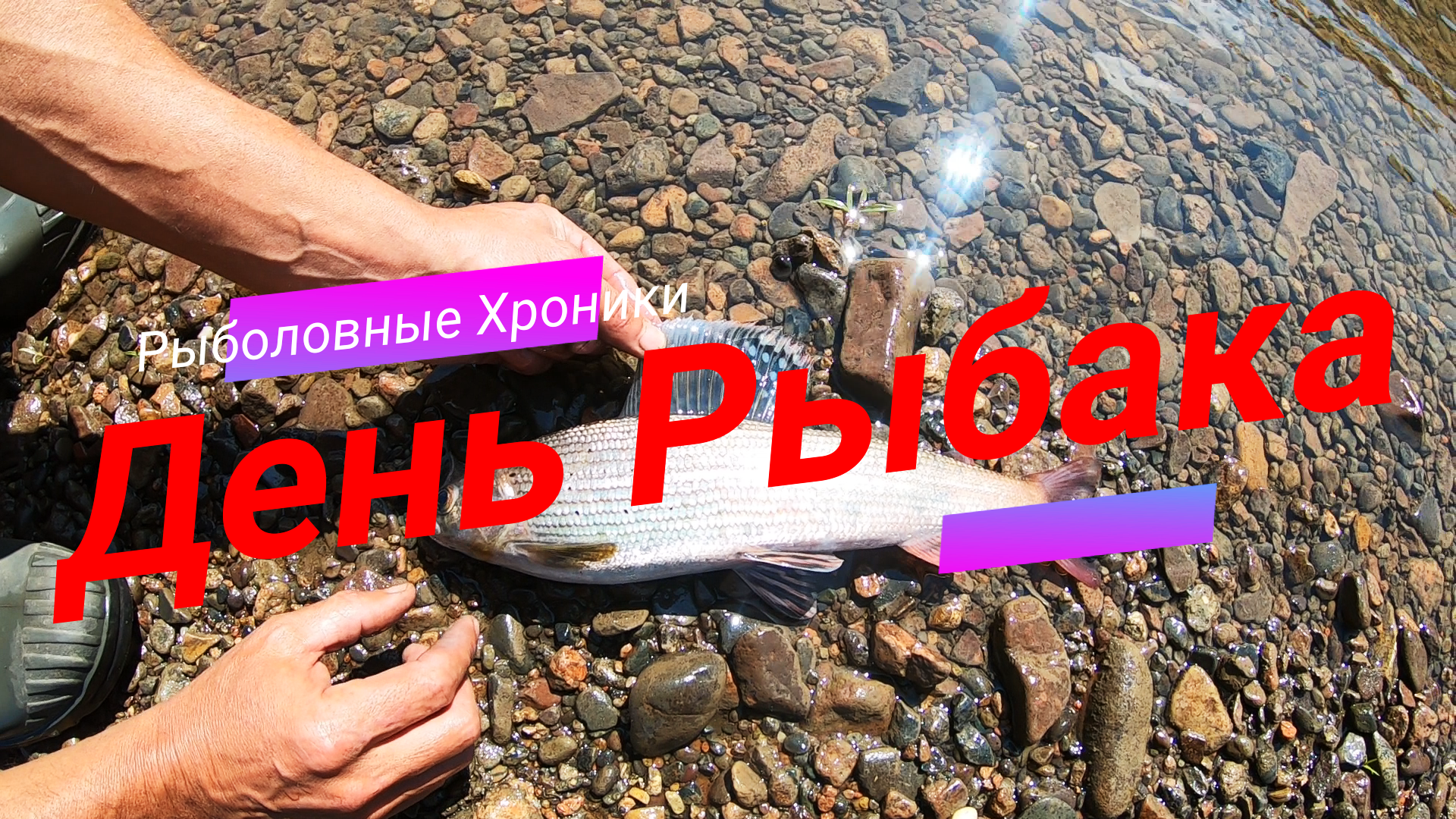 ДЕНЬ РЫБАКА!!!/ОБСТАНОВКА ПО КАЙФУ!!!/СИБИРСКИЙ ЧПОК!!!/ЛЕНИВЫЙ ШАШЛЫК!!/РЫБАЧИМ. ГОТОВИМ, ОТДЫХАЕМ!