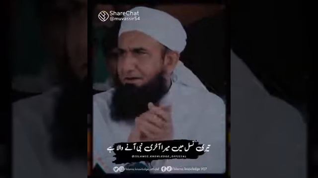 Adam alai salam hawwa alai salam ke nikha ka maher.... Maulana tariq jameel sahab bayan 💖💖💖