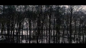 LINDEMANN - Blut (Piano) Cover