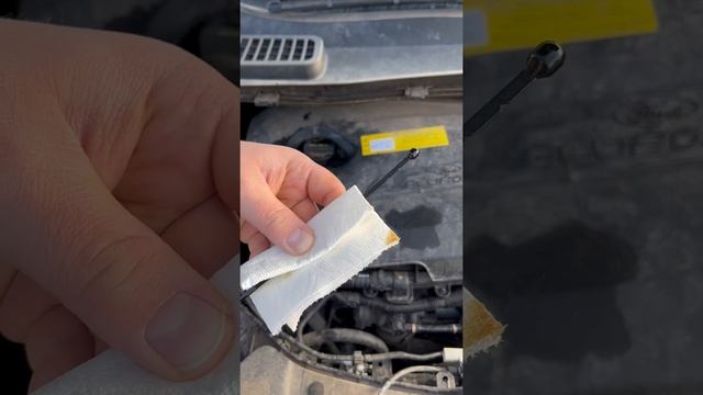 How to Check the Oil in your Car