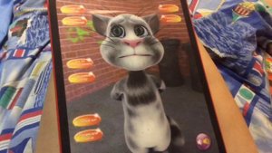 Кот Том, прикольный говорящий планшет Костяна. (cat Tom, talking tablet, Russia) 2019