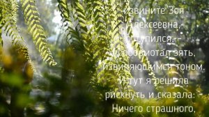 Тёща с зятем, нашли общий язык. История из жизни!