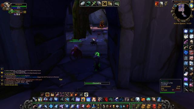 Dire Maul north Solo Tribute Runs for Huntards Part 1 Introduction and Preparation смотреть онлайн