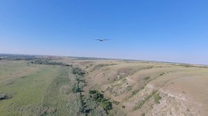 Полёт со степным орлом и ласточками FPV