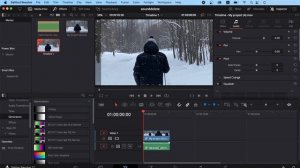 Как удалить звук в Davinci resolve