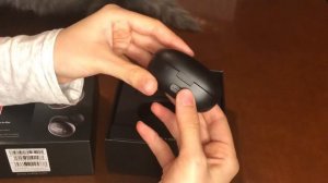 Unboxing 1More Stylish True Wireless Earbuds