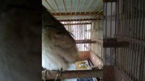 Самый короткий световой день