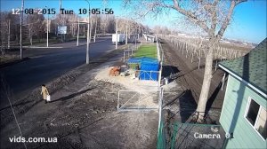 Пример видео, камеры Hikvision DS-2CD2T22WD-I5 (4mm), солнечный день