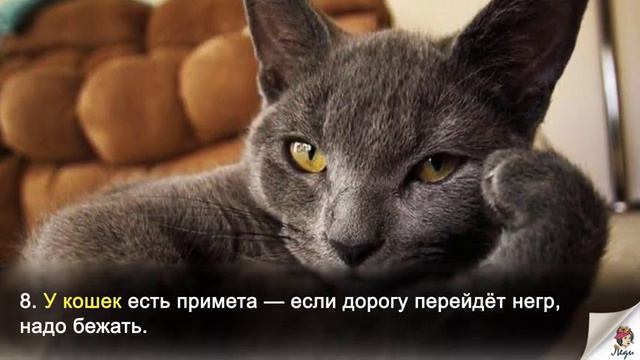 15 примет, которые внушают оптимизм. Позитивное мышление - это здорово!