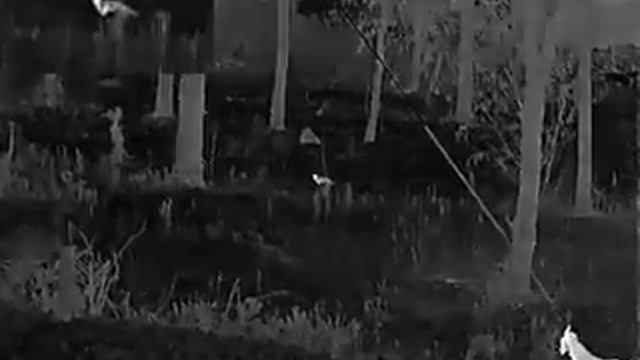 The thermal imager for searching смотреть онлайн