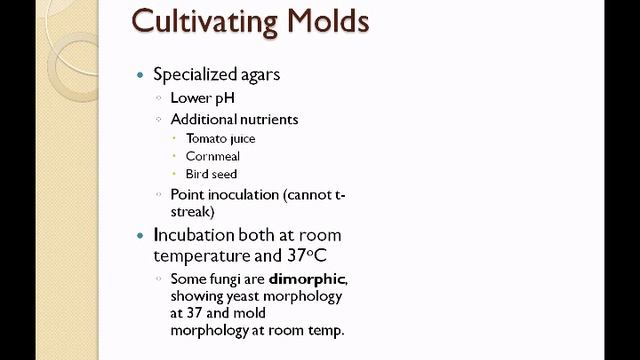 Pre Lab Lecture Fungi смотреть онлайн
