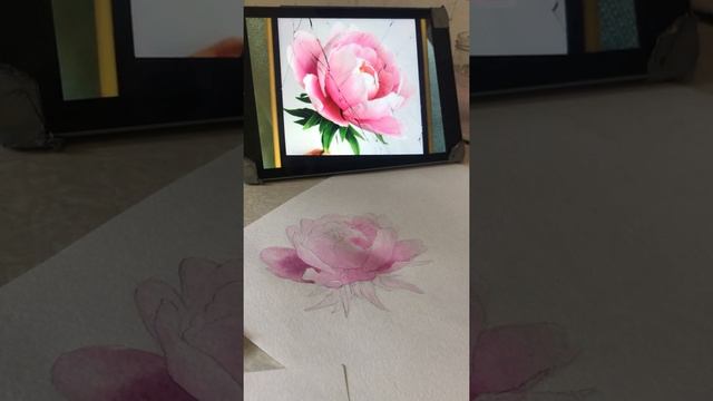 Как нарисовать пион акварелью бесплатный видео урок часть 2