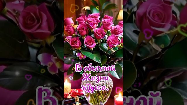 #добрыйвечер