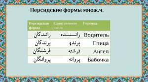 Фарси Урок 5   Множественное число и виды местоимений