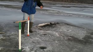 Tip Down Ice Fishing Crappies