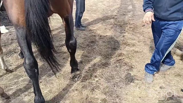 Маникюр для Музыки смотреть онлайн