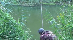 О рыбалке, про рыбалку и ответы на вопросы,май