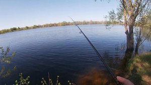 Ловля прожорливого окуня и убойная микро-мандула!