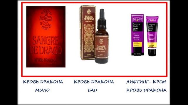 ДЕРЕВО ДЕРЕВЦО ДРАЦЕНА КРОВЬ ДРАКОНА/TREE TREE DRACENA BLOOD OF DRAGON смотреть онлайн